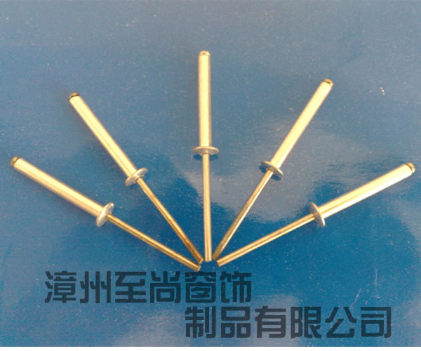 供应隐形防盗网专业铆钉，抽芯铆钉，铆钉 